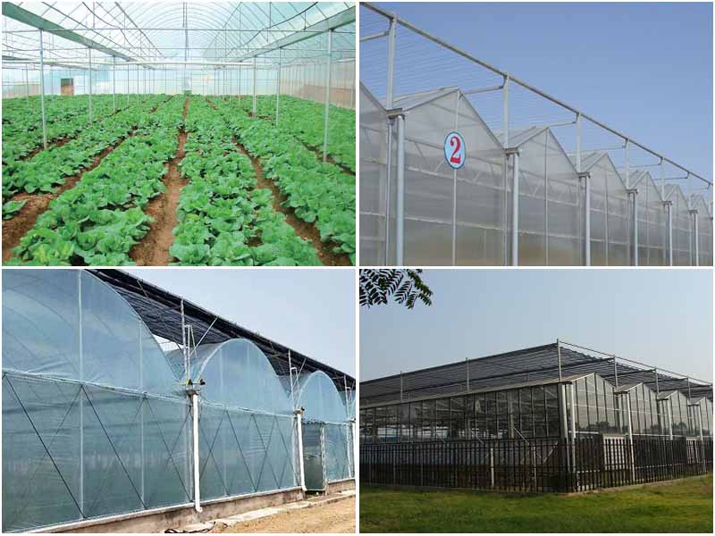 如何讓農業蔬菜溫室大棚種植后，收益更好呢？